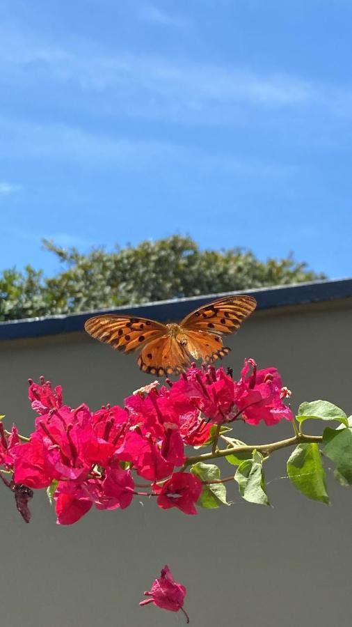 Beach Eco Stays Hotel Boutique Lagoinha パライパバ エクステリア 写真