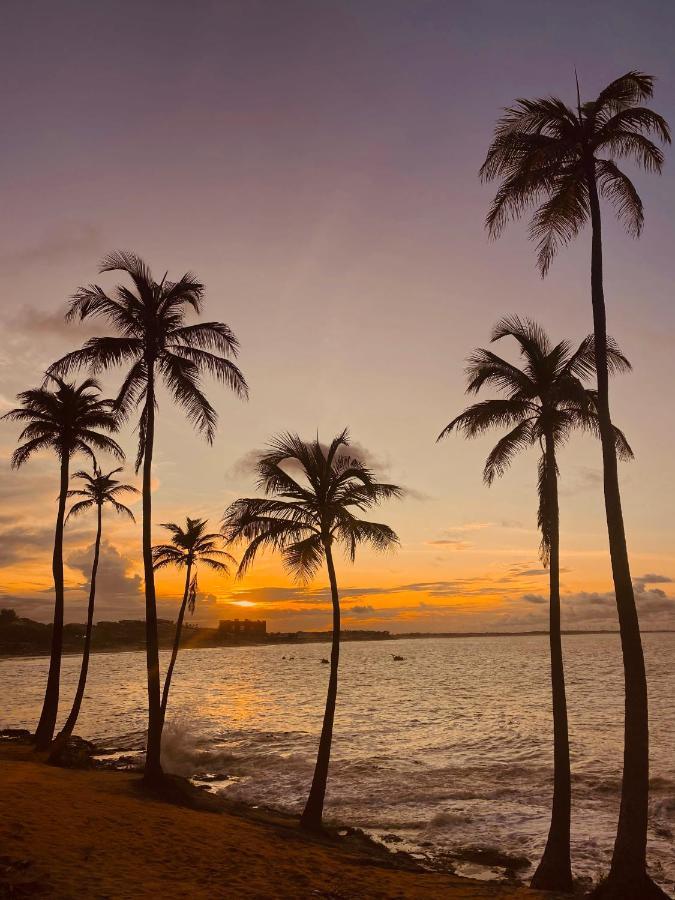 Beach Eco Stays Hotel Boutique Lagoinha パライパバ エクステリア 写真