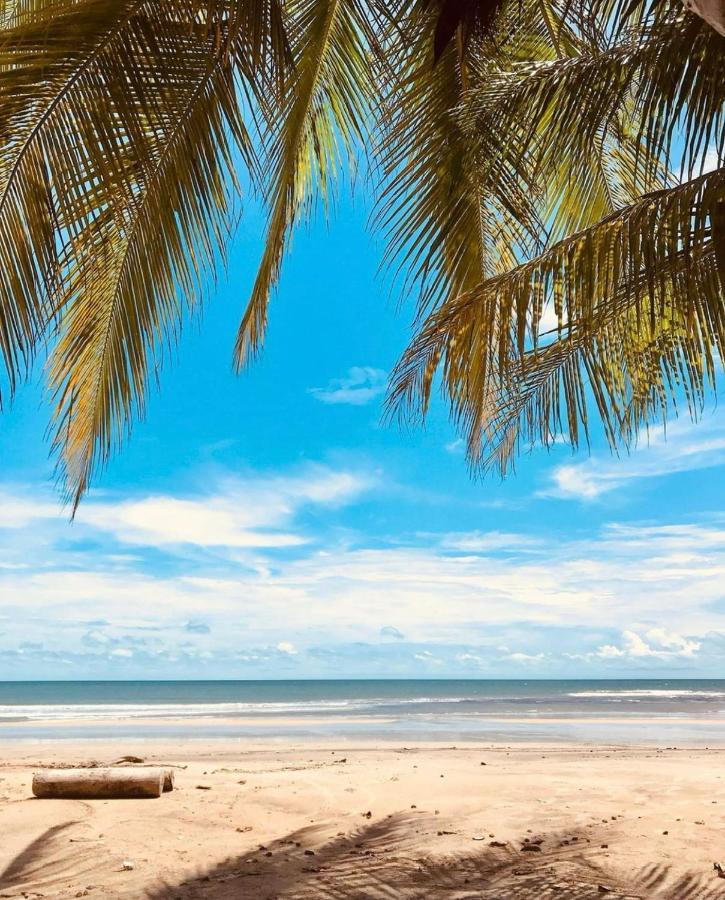 Beach Eco Stays Hotel Boutique Lagoinha パライパバ エクステリア 写真