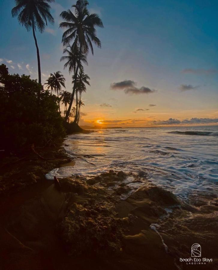 Beach Eco Stays Hotel Boutique Lagoinha パライパバ エクステリア 写真